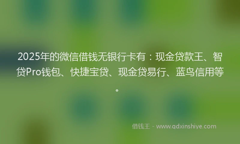 2025年的微信借钱无银行卡有：现金贷款王、智贷Pro钱包、快捷宝贷、现金贷易行、蓝鸟信用等。