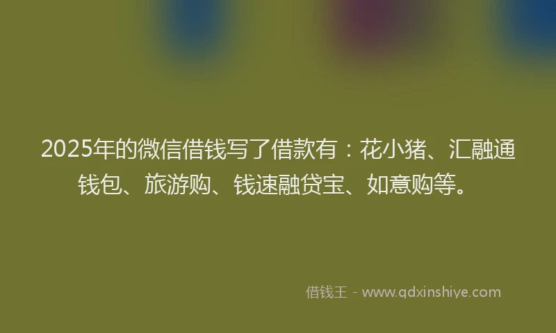 2025年的微信借钱写了借款有：花小猪、汇融通钱包、旅游购、钱速融贷宝、如意购等。