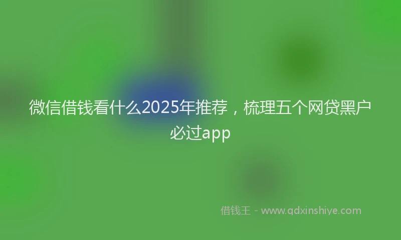 微信借钱看什么2025年推荐，梳理五个网贷黑户必过app