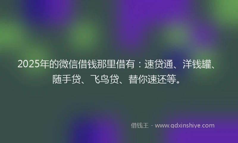 2025年的微信借钱那里借有：速贷通、洋钱罐、随手贷、飞鸟贷、替你速还等。