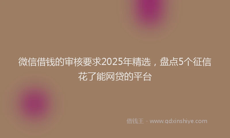 微信借钱的审核要求2025年精选，盘点5个征信花了能网贷的平台