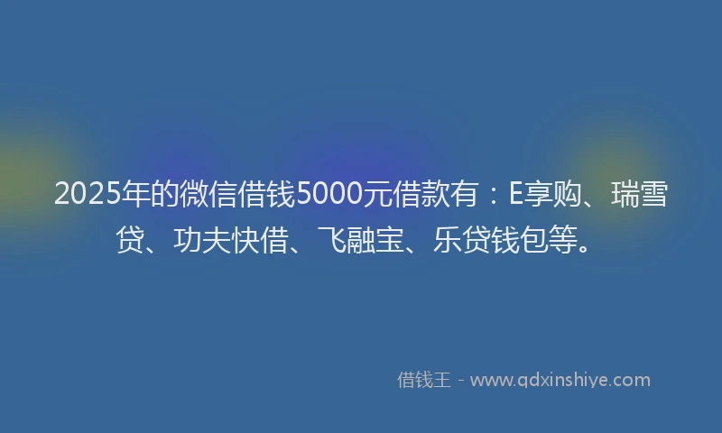2025年的微信借钱5000元借款有：E享购、瑞雪贷、功夫快借、飞融宝、乐贷钱包等。