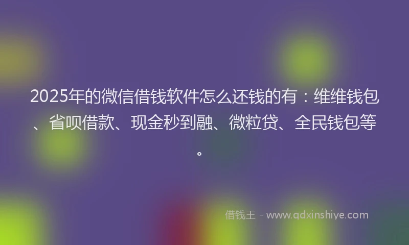 2025年的微信借钱软件怎么还钱的有：维维钱包、省呗借款、现金秒到融、微粒贷、全民钱包等。