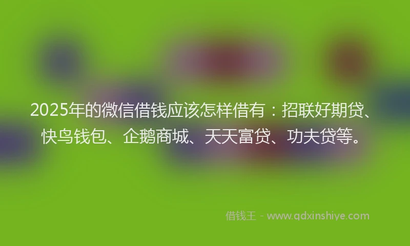2025年的微信借钱应该怎样借有：招联好期贷、快鸟钱包、企鹅商城、天天富贷、功夫贷等。