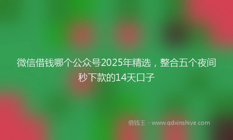 微信借钱哪个公众号2025年精选，整合五个夜间秒下款的14天口子
