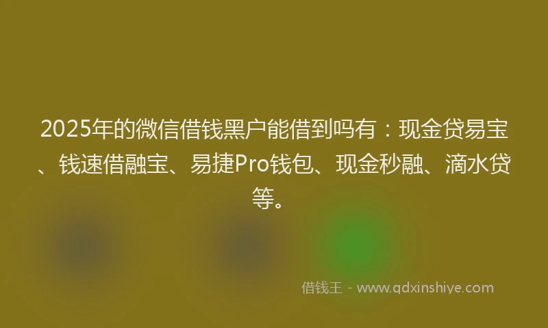 2025年的微信借钱黑户能借到吗有：现金贷易宝、钱速借融宝、易捷Pro钱包、现金秒融、滴水贷等。
