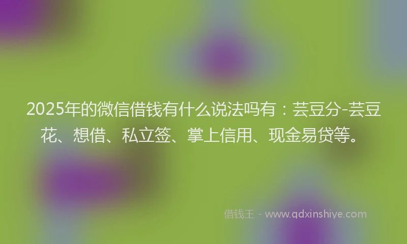 2025年的微信借钱有什么说法吗有：芸豆分-芸豆花、想借、私立签、掌上信用、现金易贷等。