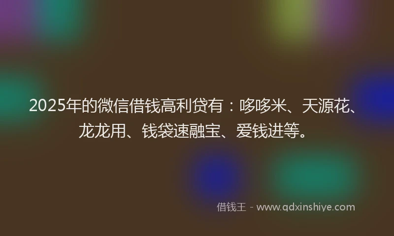 2025年的微信借钱高利贷有：哆哆米、天源花、龙龙用、钱袋速融宝、爱钱进等。