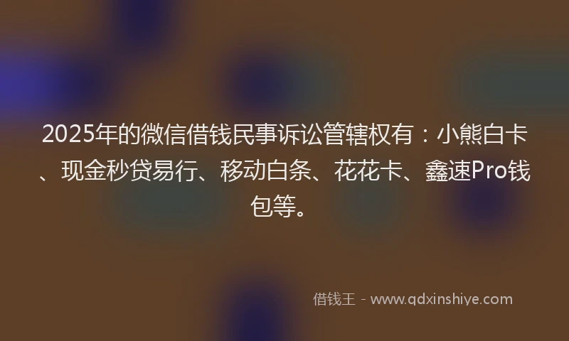 2025年的微信借钱民事诉讼管辖权有：小熊白卡、现金秒贷易行、移动白条、花花卡、鑫速Pro钱包等。
