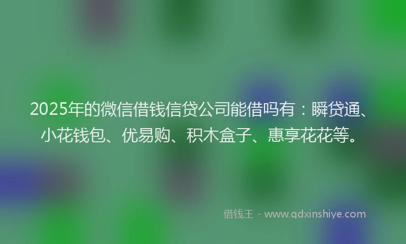 2025年的微信借钱信贷公司能借吗有：瞬贷通、小花钱包、优易购、积木盒子、惠享花花等。