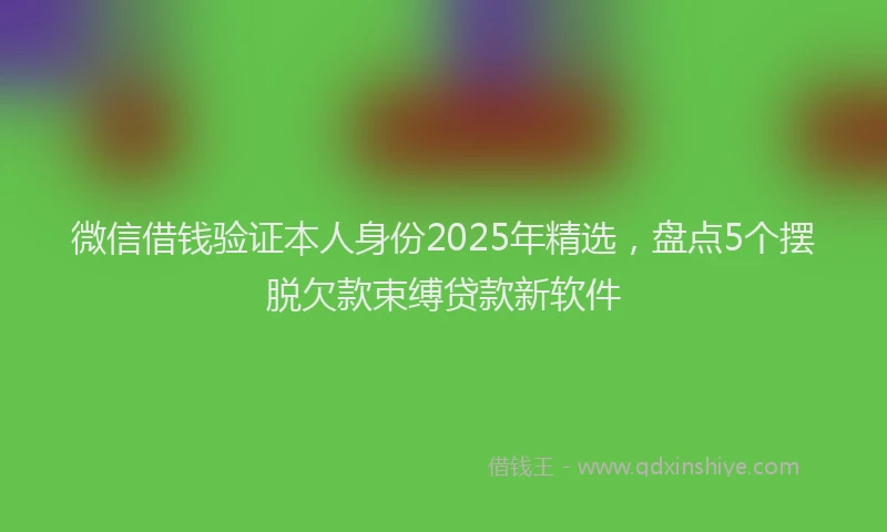 微信借钱验证本人身份2025年精选，盘点5个摆脱欠款束缚贷款新软件