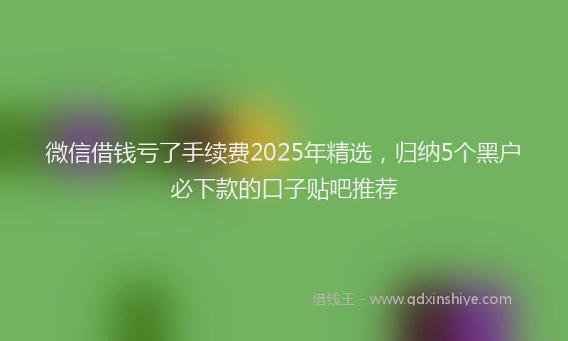 微信借钱亏了手续费2025年精选，归纳5个黑户必下款的口子贴吧推荐