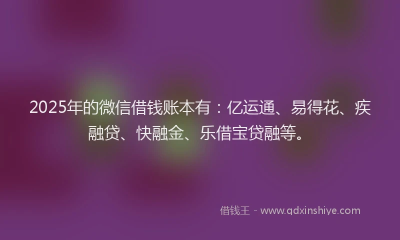 2025年的微信借钱账本有：亿运通、易得花、疾融贷、快融金、乐借宝贷融等。