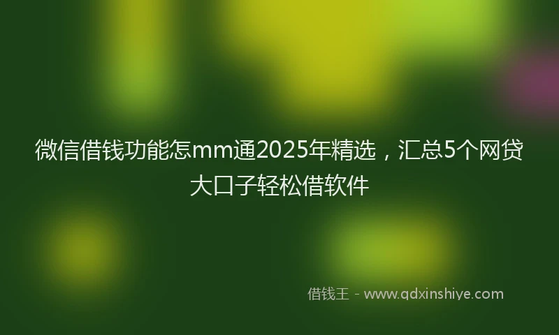 微信借钱功能怎mm通2025年精选，汇总5个网贷大口子轻松借软件