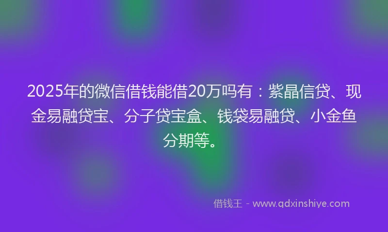 2025年的微信借钱能借20万吗有：紫晶信贷、现金易融贷宝、分子贷宝盒、钱袋易融贷、小金鱼分期等。