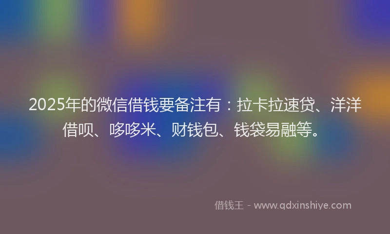 2025年的微信借钱要备注有：拉卡拉速贷、洋洋借呗、哆哆米、财钱包、钱袋易融等。