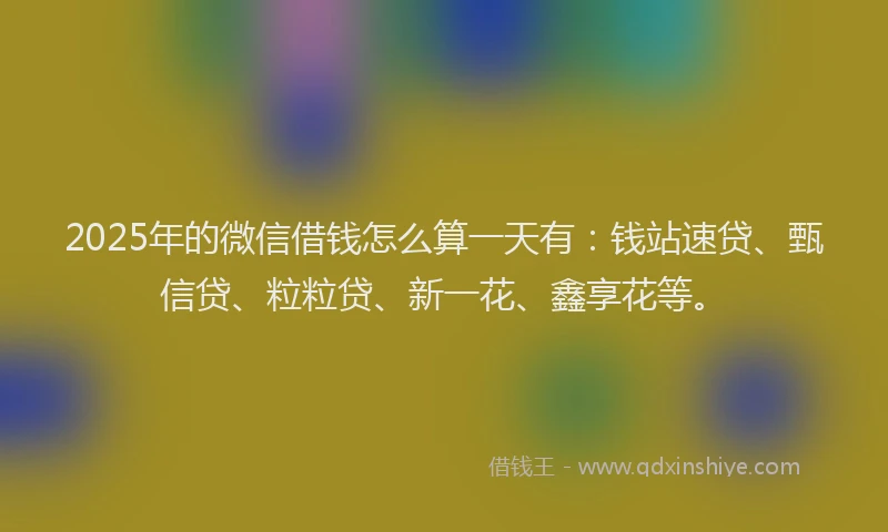 2025年的微信借钱怎么算一天有：钱站速贷、甄信贷、粒粒贷、新一花、鑫享花等。