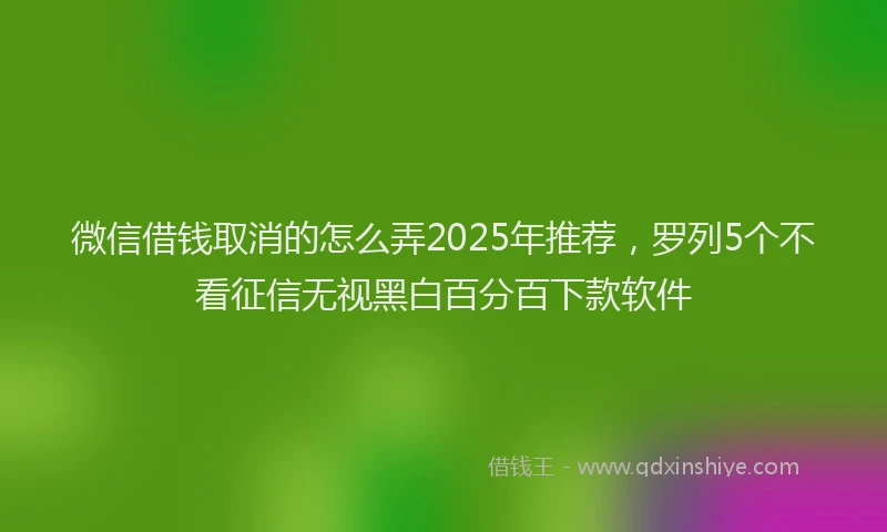 微信借钱取消的怎么弄2025年推荐，罗列5个不看征信无视黑白百分百下款软件