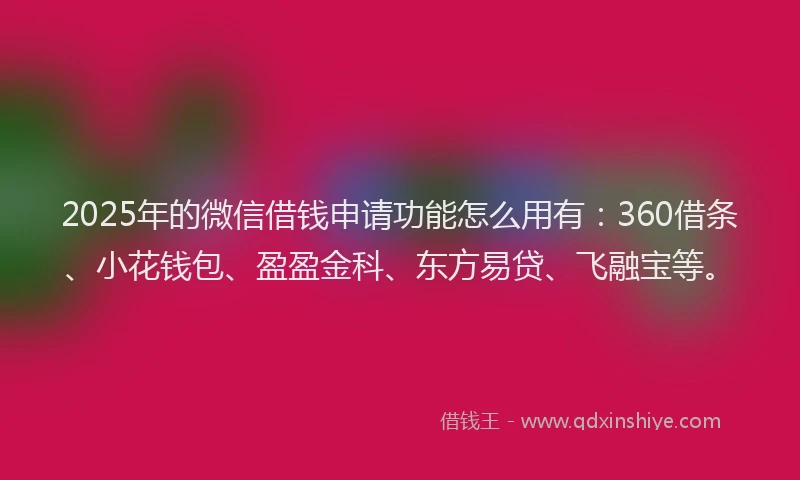 2025年的微信借钱申请功能怎么用有：360借条、小花钱包、盈盈金科、东方易贷、飞融宝等。