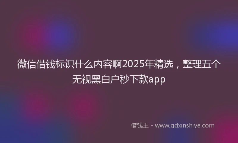 微信借钱标识什么内容啊2025年精选，整理五个无视黑白户秒下款app