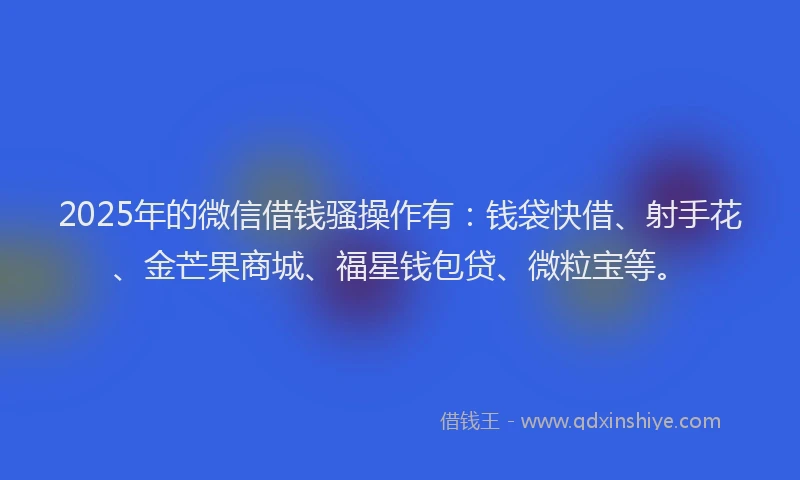 2025年的微信借钱骚操作有：钱袋快借、射手花、金芒果商城、福星钱包贷、微粒宝等。
