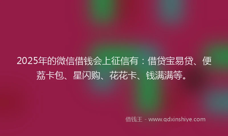 2025年的微信借钱会上征信有：借贷宝易贷、便荔卡包、星闪购、花花卡、钱满满等。