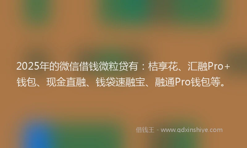 2025年的微信借钱微粒贷有：桔享花、汇融Pro+钱包、现金直融、钱袋速融宝、融通Pro钱包等。