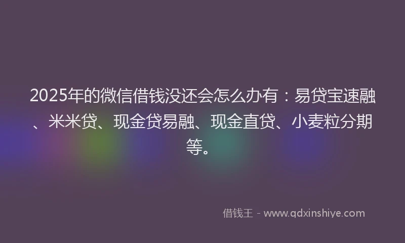 2025年的微信借钱没还会怎么办有：易贷宝速融、米米贷、现金贷易融、现金直贷、小麦粒分期等。