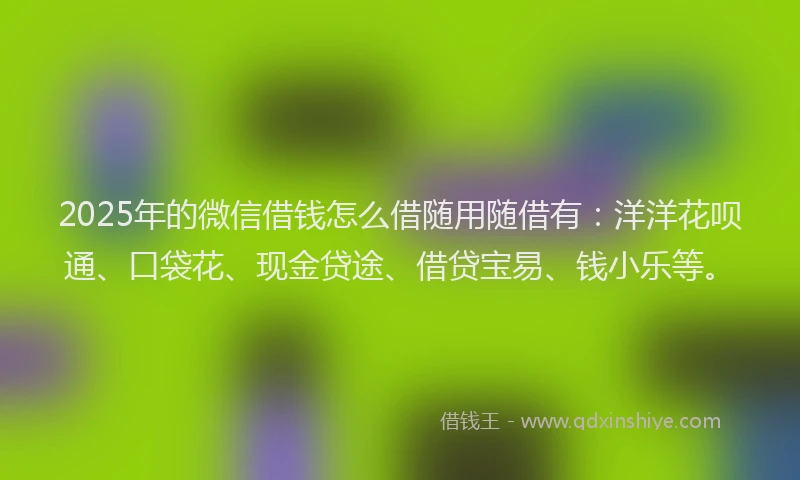 2025年的微信借钱怎么借随用随借有：洋洋花呗通、口袋花、现金贷途、借贷宝易、钱小乐等。