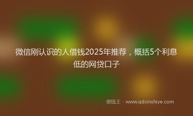 微信刚认识的人借钱2025年推荐，概括5个利息低的网贷口子