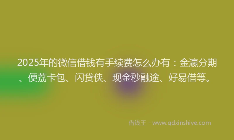 2025年的微信借钱有手续费怎么办有：金瀛分期、便荔卡包、闪贷侠、现金秒融途、好易借等。