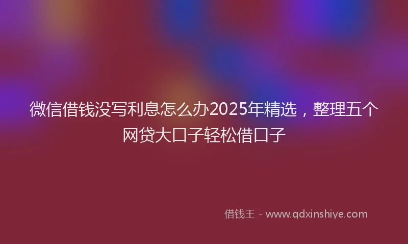 微信借钱没写利息怎么办2025年精选，整理五个网贷大口子轻松借口子