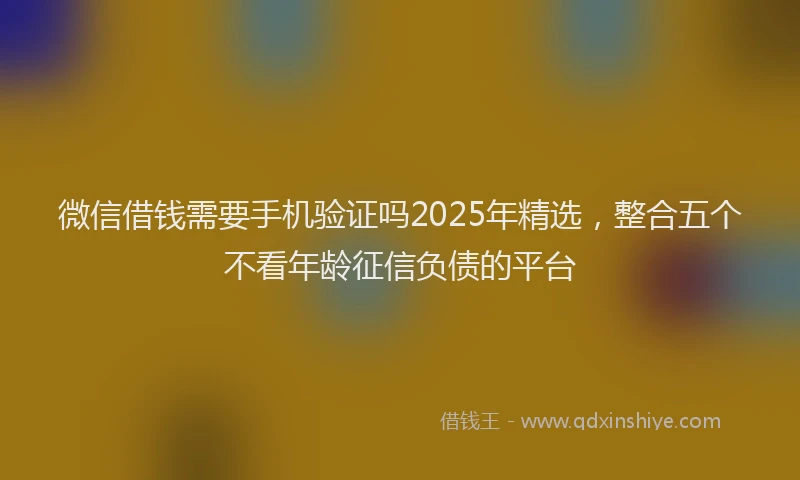 微信借钱需要手机验证吗2025年精选，整合五个不看年龄征信负债的平台