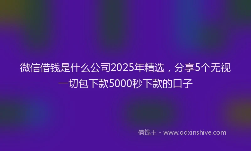 微信借钱是什么公司2025年精选，分享5个无视一切包下款5000秒下款的口子