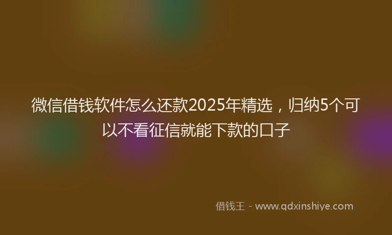 微信借钱软件怎么还款2025年精选，归纳5个可以不看征信就能下款的口子