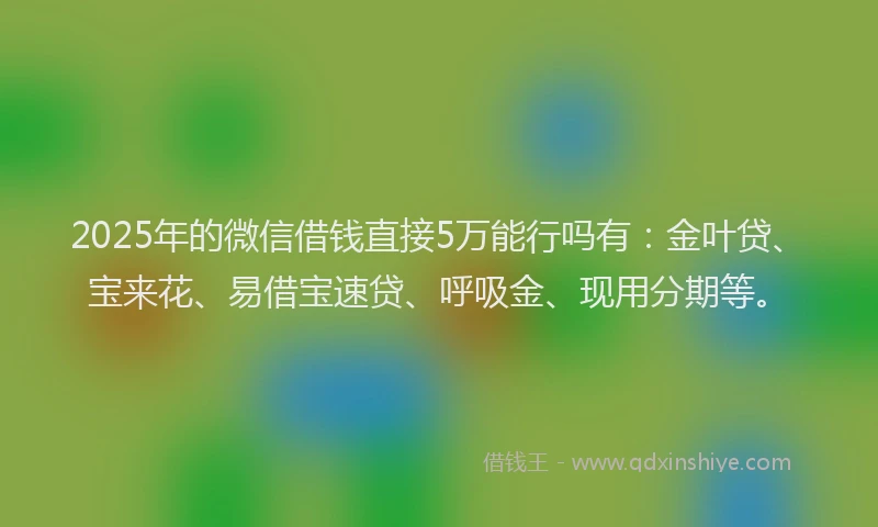 2025年的微信借钱直接5万能行吗有：金叶贷、宝来花、易借宝速贷、呼吸金、现用分期等。