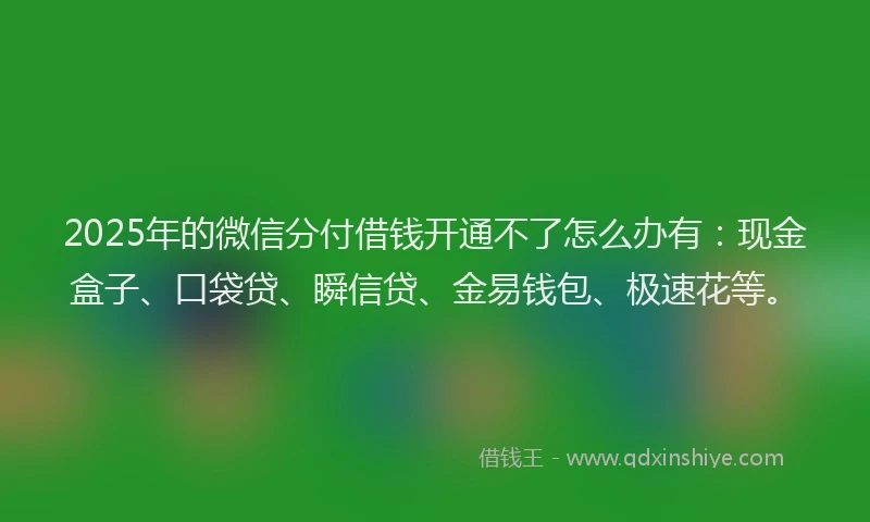 2025年的微信分付借钱开通不了怎么办有：现金盒子、口袋贷、瞬信贷、金易钱包、极速花等。