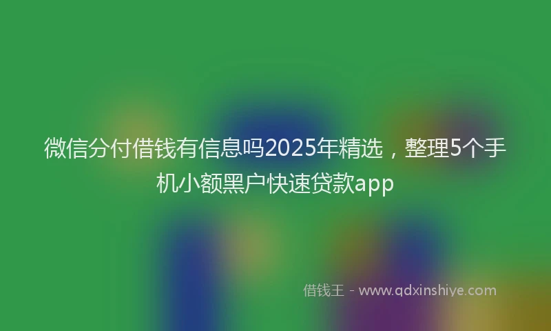 微信分付借钱有信息吗2025年精选，整理5个手机小额黑户快速贷款app