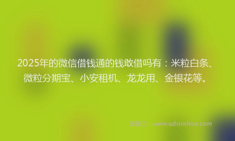 2025年的微信借钱通的钱敢借吗有：米粒白条、微粒分期宝、小安租机、龙龙用、金银花等。