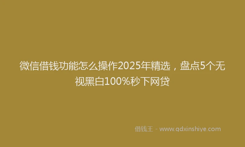 微信借钱功能怎么操作2025年精选，盘点5个无视黑白100%秒下网贷