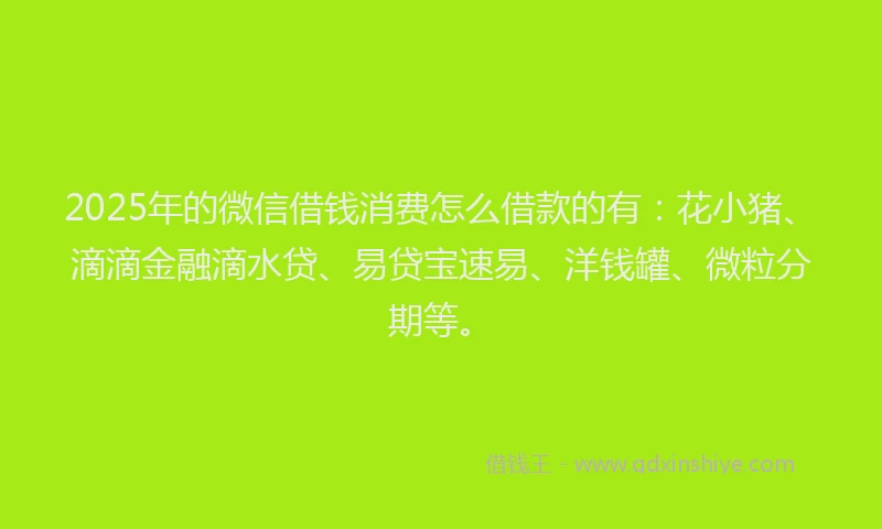 2025年的微信借钱消费怎么借款的有：花小猪、滴滴金融滴水贷、易贷宝速易、洋钱罐、微粒分期等。