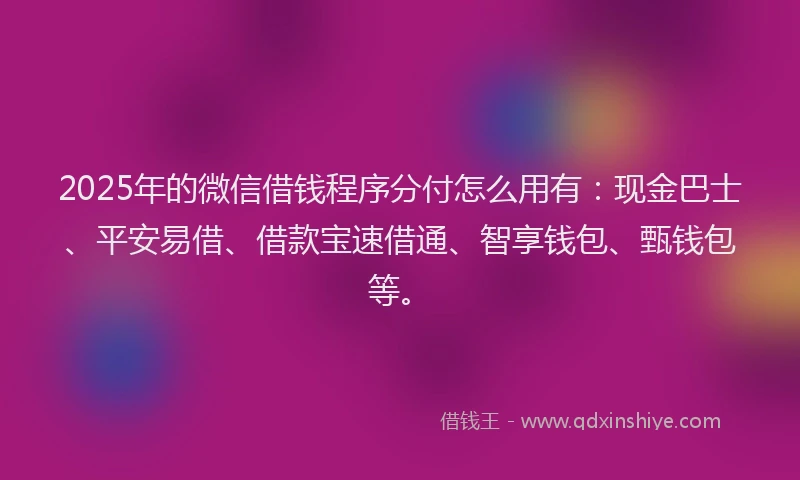 2025年的微信借钱程序分付怎么用有：现金巴士、平安易借、借款宝速借通、智享钱包、甄钱包等。