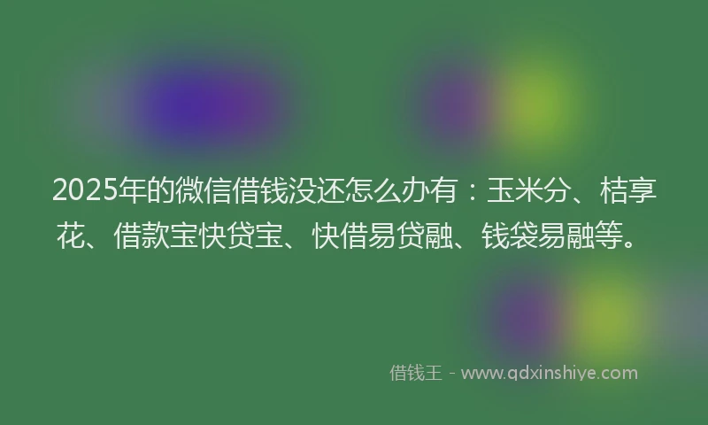 2025年的微信借钱没还怎么办有：玉米分、桔享花、借款宝快贷宝、快借易贷融、钱袋易融等。