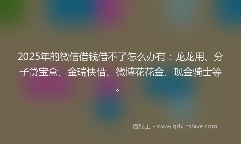 2025年的微信借钱借不了怎么办有：龙龙用、分子贷宝盒、金瑞快借、微博花花金、现金骑士等。