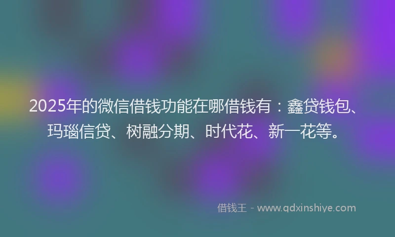 2025年的微信借钱功能在哪借钱有：鑫贷钱包、玛瑙信贷、树融分期、时代花、新一花等。