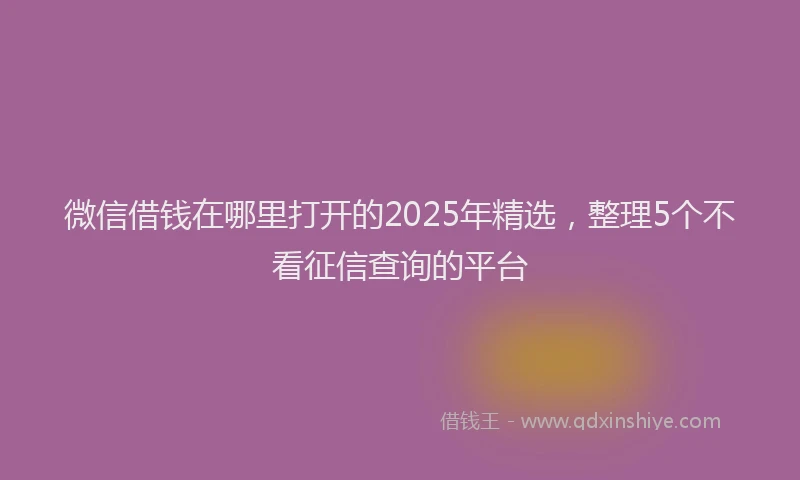 微信借钱在哪里打开的2025年精选，整理5个不看征信查询的平台