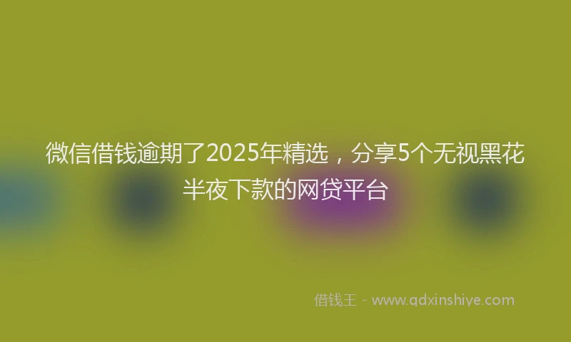 微信借钱逾期了2025年精选，分享5个无视黑花半夜下款的网贷平台