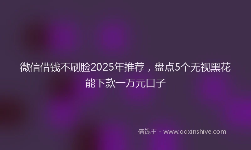 微信借钱不刷脸2025年推荐，盘点5个无视黑花能下款一万元口子