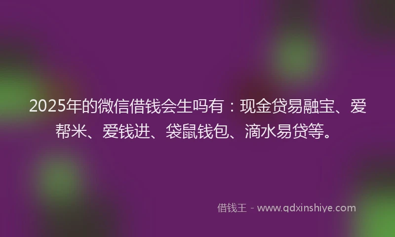 2025年的微信借钱会生吗有：现金贷易融宝、爱帮米、爱钱进、袋鼠钱包、滴水易贷等。