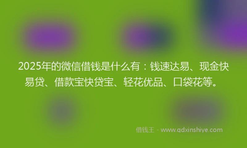 2025年的微信借钱是什么有：钱速达易、现金快易贷、借款宝快贷宝、轻花优品、口袋花等。